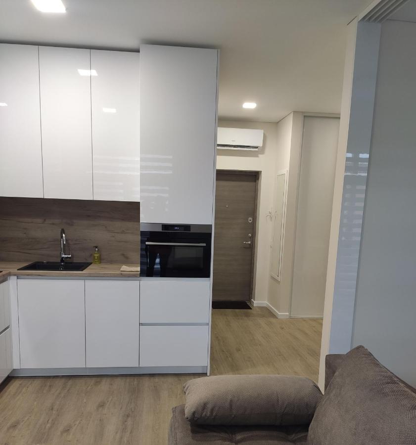 Apartment Ainiai Panevėžys 外观 照片