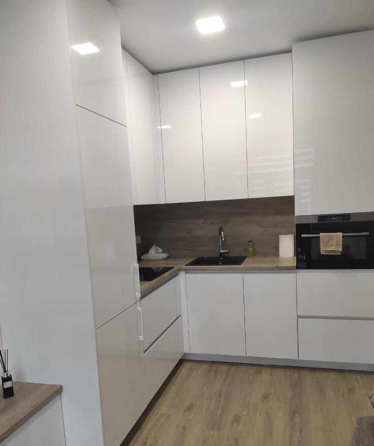 Apartment Ainiai Panevėžys 外观 照片